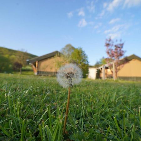 Safaritent Op Camping Berkel Bockholtz Bagian luar foto