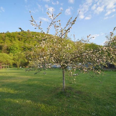 Safaritent Op Camping Berkel Bockholtz Bagian luar foto